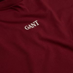 GANT SMALL GRAPHIC LS T-SHIRT 3361-604