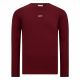 GANT SMALL GRAPHIC LS T-SHIRT 3361-604