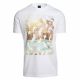 HUGO BOSS T-SHIRT TPOOL1 5560-100