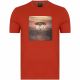 HUGO BOSS T-SHIRT TROAAR 5 7897-805