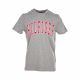 TOMMY HILFIGER T-SHIRT COLLEGE LOGO TEE 8369-043