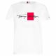 TOMMY HILFIGER BOX SIGNATURE RELAXED FIT TEE 5331-YBR