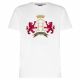TOMMY HILFIGER ICON FAMILY CREST RELAX FIT TEE 5341-YBR