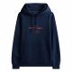 TOMMY HILFIGER OVAL GRAPHIC HOODIE 0864-DW5