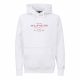 TOMMY HILFIGER OVAL GRAPHIC HOODIE 0864-YBR