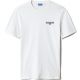 NAPAPIJRI T-SHIRT S-ICE SS 1 0021