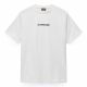 NAPAPIJRI T-SHIRT S-FLINT SS FX11