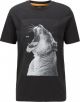 HUGO BOSS T-SHIRT TROAAR 2 7904-001