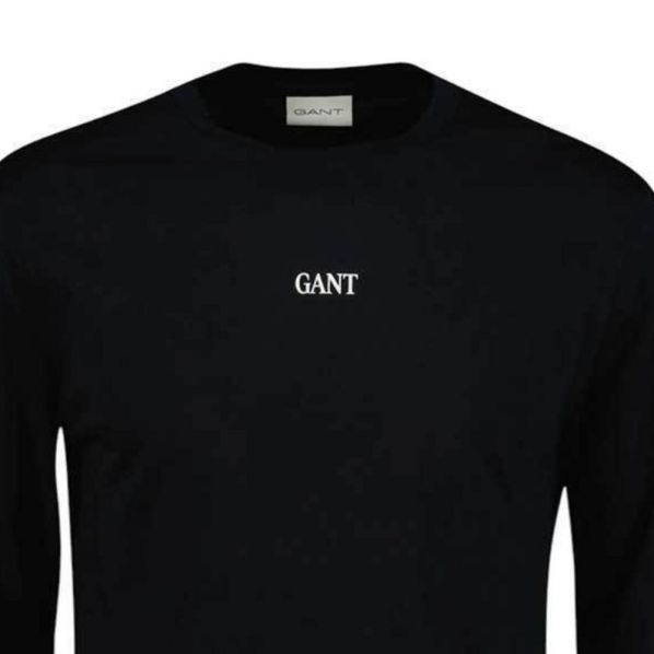 GANT SMALL GRAPHIC LS T-SHIRT 3361-5