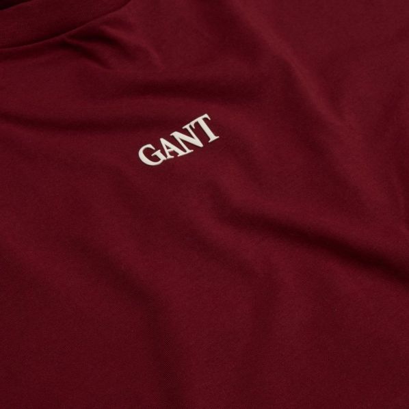 GANT SMALL GRAPHIC LS T-SHIRT 3361-604