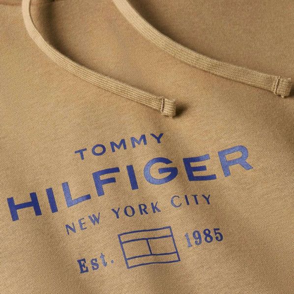 TOMMY HILFIGER OVAL GRAPHIC HOODIE 0864-GV7